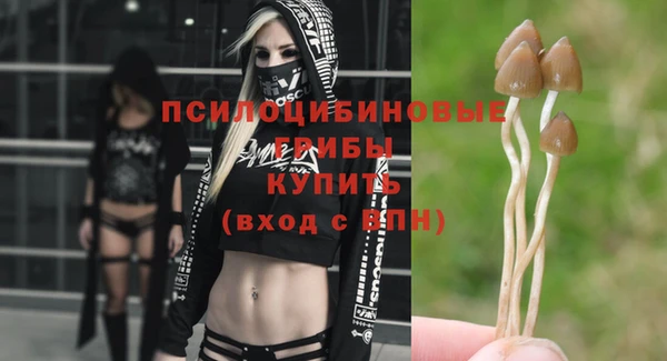 прущая мука Абдулино
