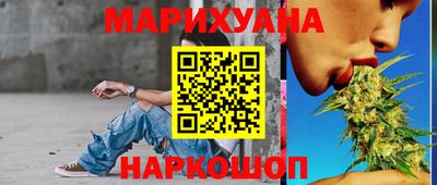 СК Шахты