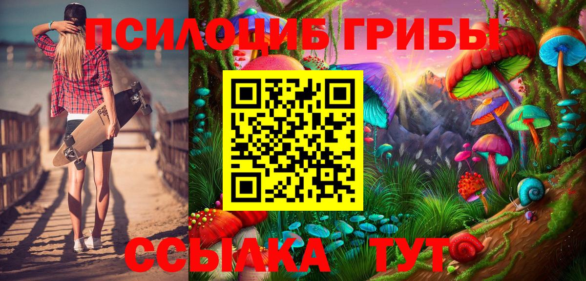Псилоцибиновые грибы GOLDEN TEACHER  Вход с VPN  Новочебоксарск  Псилоцибиновые грибы Cubensis 